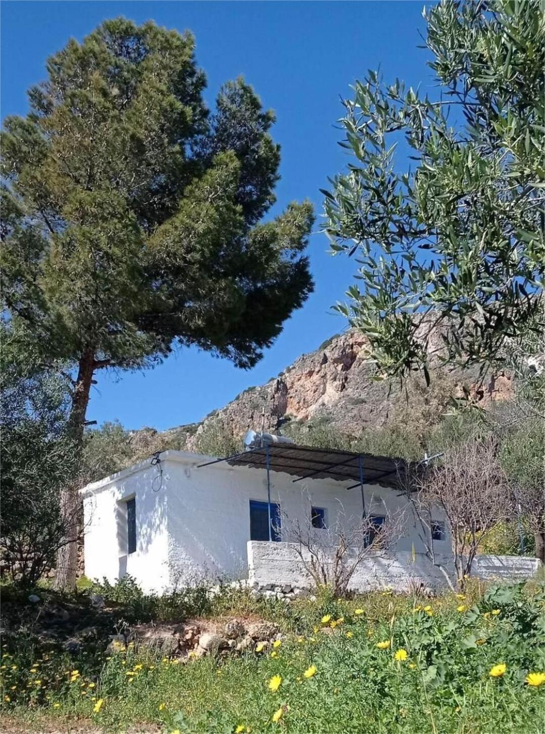 μικρό ανάδιο Casa vacanze *